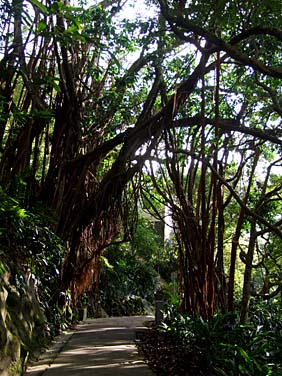 Victoria Peak, Hong Kong, China , Jacek Piwowarczyk, 2008