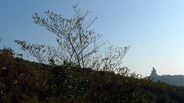 Ngong Ping, Lantau Island, Hog Kog, China, Jacek Piwowarczyk, 2008