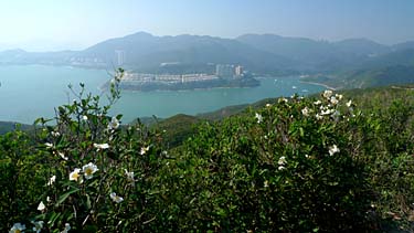 Dragon's Back Trail, Hog Kong Island, Hong Kong, China, Jacek Piwowarczyk, 2009