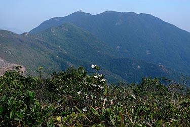 Wilson Trail Stage 2 Hike, Hong Kong Island, Hong Kong, China, Jacek Piwowarczyk, 2009