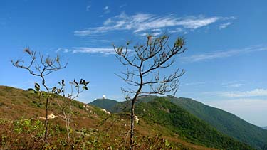 Wilson Trail Stage 2 Hike, Hong Kong Island, Hong Kong, China, Jacek Piwowarczyk, 2009