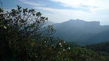 Wilson Trail Stage 2 Hike, Hong Kong Island, Hong Kong, China, Jacek Piwowarczyk, 2009