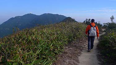 Wilson Trail Stage 2 Hike, Hong Kong Island, Hong Kong, China, Jacek Piwowarczyk, 2009