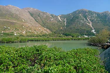 Tai O, Lantau Island, Hong Kong, China, Jacek Piwowarczyk, 2009