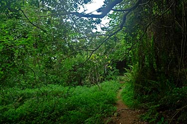 Lantau Trail Stage 7, Yi O, Lantau Island, Hong Kong, China, Jacek Piwowarczyk 2009