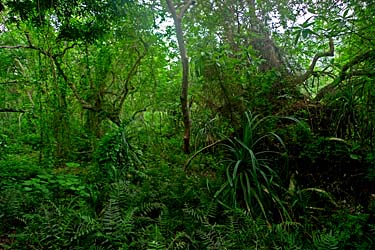 Lantau Trail Stage 7, Yi O, Lantau Island, Hong Kong, China, Jacek Piwowarczyk 2009