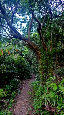 Lantau Trail Stage 7, Yi O, Lantau Island, Hong Kong, China, Jacek Piwowarczyk 2009