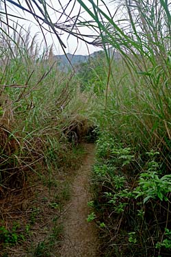 Lantau Trail Stage 7, Yi O, Lantau Island, Hong Kong, China, Jacek Piwowarczyk 2009