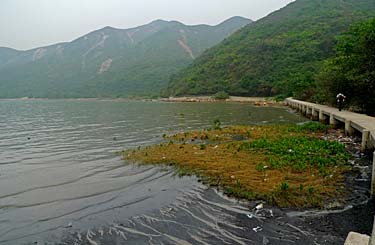 Lantau Trail Stage 7, Yi O, Lantau Island, Hong Kong, China, Jacek Piwowarczyk 2009