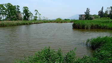 Hog Kong Wetland Park, Tin Shui Wai, New Territiories, Hong Kong, China, Jacek Piwowarczyk, 2009
