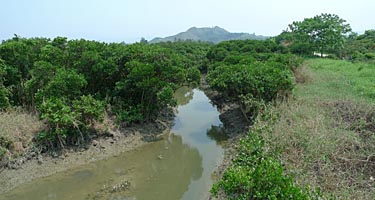 Hog Kong Wetland Park, Tin Shui Wai, New Territiories, Hong Kong, China, Jacek Piwowarczyk, 2009