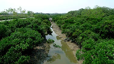 Hog Kong Wetland Park, Tin Shui Wai, New Territiories, Hong Kong, China, Jacek Piwowarczyk, 2009