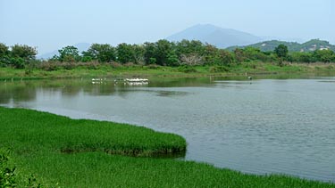 Hog Kong Wetland Park, Tin Shui Wai, New Territiories, Hong Kong, China, Jacek Piwowarczyk, 2009