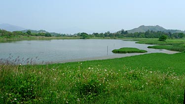 Hog Kong Wetland Park, Tin Shui Wai, New Territiories, Hong Kong, China, Jacek Piwowarczyk, 2009