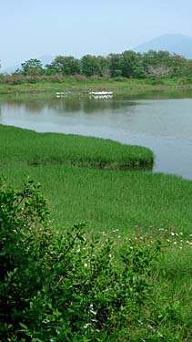 Hog Kong Wetland Park, Tin Shui Wai, New Territiories, Hong Kong, China, Jacek Piwowarczyk, 2009