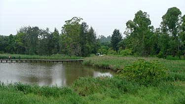 Hog Kong Wetland Park, Tin Shui Wai, New Territiories, Hong Kong, China, Jacek Piwowarczyk, 2009