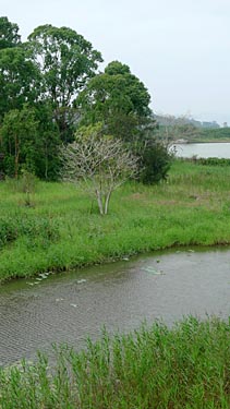 Hog Kong Wetland Park, Tin Shui Wai, New Territiories, Hong Kong, China, Jacek Piwowarczyk, 2009