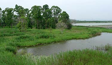 Hog Kong Wetland Park, Tin Shui Wai, New Territiories, Hong Kong, China, Jacek Piwowarczyk, 2009