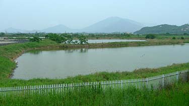 Hog Kong Wetland Park, Tin Shui Wai, New Territiories, Hong Kong, China, Jacek Piwowarczyk, 2009