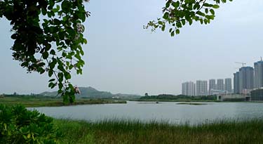 Hog Kong Wetland Park, Tin Shui Wai, New Territiories, Hong Kong, China, Jacek Piwowarczyk, 2009