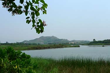 Hog Kong Wetland Park, Tin Shui Wai, New Territiories, Hong Kong, China, Jacek Piwowarczyk, 2009