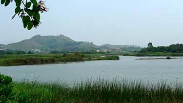 Hog Kong Wetland Park, Tin Shui Wai, New Territiories, Hong Kong, China, Jacek Piwowarczyk, 2009