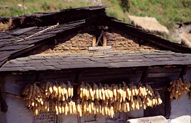 Peling, Sikkim, India, Jacek Piwowarczyk, 1996