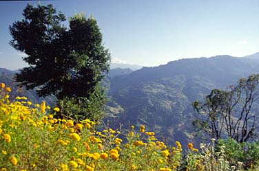 Western Sikkim, India, Jacek Piwowarczyk, 1996