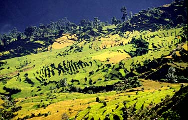 Sangachoelin, Sikkim, India, Jacek Piwowarczyk, 1996