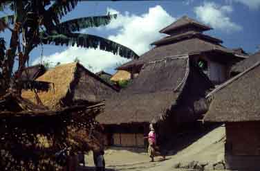 Sage, Lombok, Indinesia, Jacek Piwowarczyk, 2001