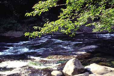 Chonjeyon Waterfall, Cheju Island, South Korea, 1999