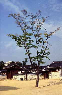 Korean Village, Seoul, South Korea, 1999