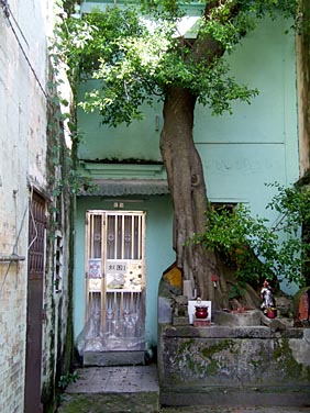 Taipa Village, Macao, China, Jacek Piwowarczyk, 2007