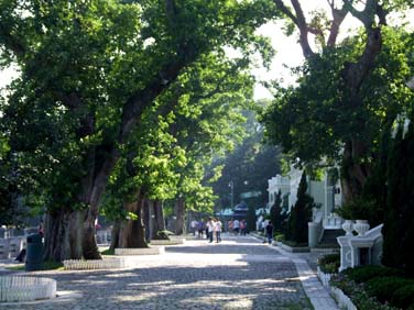 Taipa Village, Macao, China, Jacek Piwowarczyk, 2007