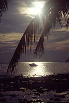 Tioman Island, Malaysia, Jacek Piwowarczyk, 1993