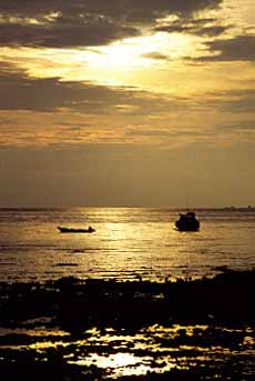 Tioman Island, Malaysia, Jacek Piwowarczyk, 1993