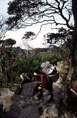 Mt. Kinabalu, Sabah, Malaysia, Jacek Piwowarczyk 2003