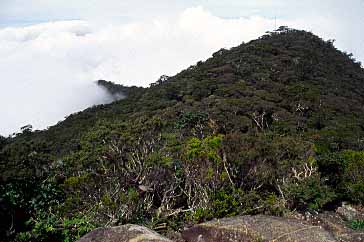 Mt. Kinabalu, Sabah, Malaysia, Jacek Piwowarczyk 2003