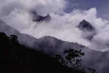 Mt. Kinabalu, Sabah, Malaysia, Jacek Piwowarczyk 2003