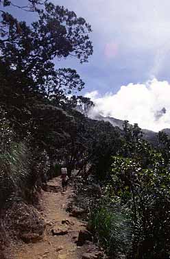 Mt. Kinabalu, Sabah, Malaysia, Jacek Piwowarczyk 2003