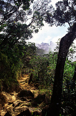 Mt. Kinabalu, Sabah, Malaysia, Jacek Piwowarczyk 2003