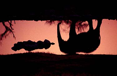 Etosha National Park, Namibia, Jacek Piwowarczyk, 1994