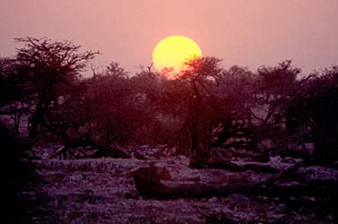 Etosha National Park, Namibia, Jacek Piwowarczyk, 1994