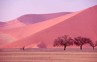 Soussuvlei (Namib Desert)