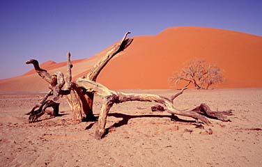Soussvlei, Namibia, Jacek Piwowarczyk, 1994