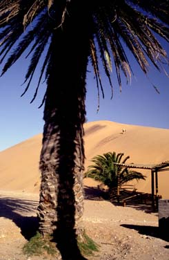 Namib Desert, Namibia, Jacek Piwowarczyk, 1994