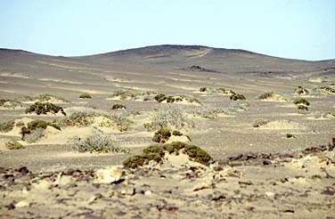 Skeleton Coast, Namibia, Jacek Piwowarczyk, 1994