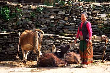 Ghandrung, Nepal, Jacek Piwowarczyk, 2002