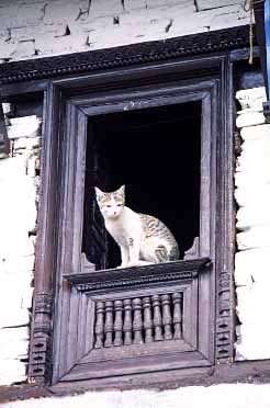 Ghandrung, Nepal, Jacek Piwowarczyk, 2002