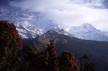 Tadapani, Nepal, Jacek Piwowarczyk, 2002